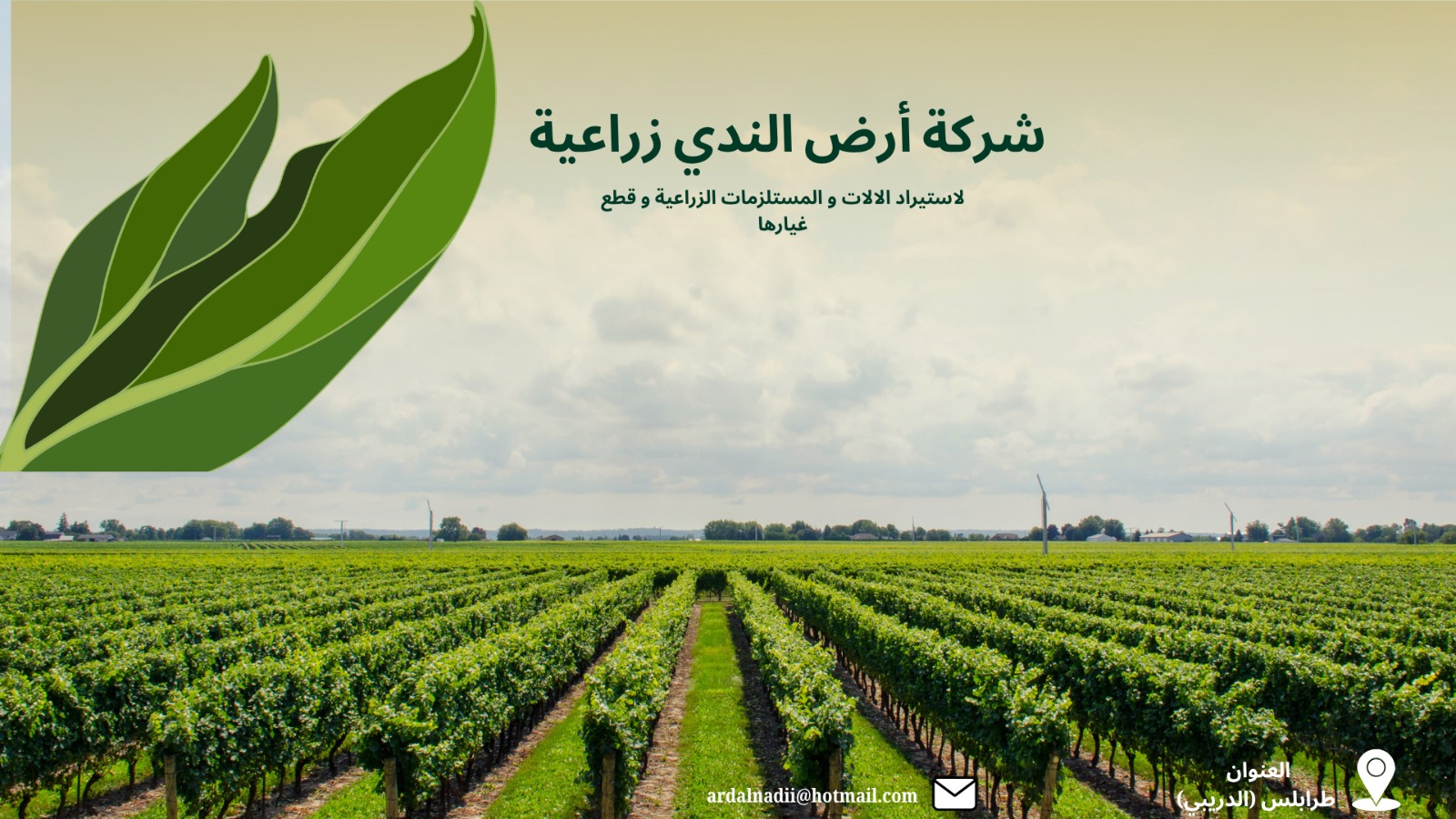 شعار الشركة